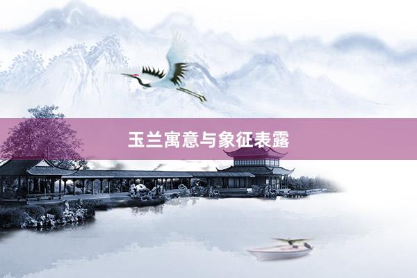 玉兰寓意与象征表露